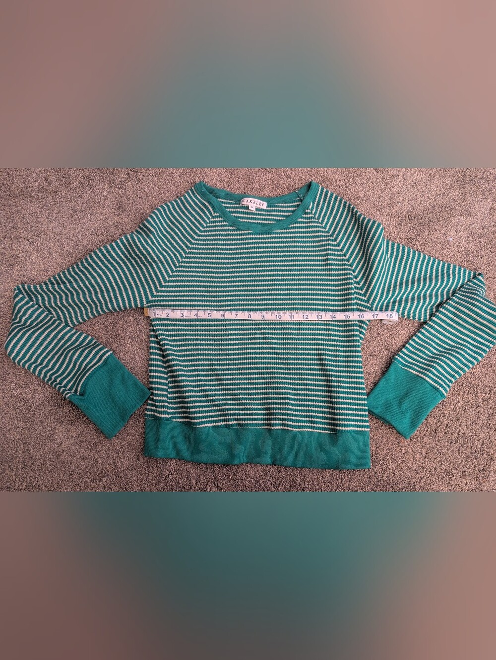 Ladies Blakeley Green & White Striped Knit Top NWOT 2XL
